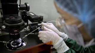 Vedci upravovali DNA detí, Čína po kritike ich prácu stopla