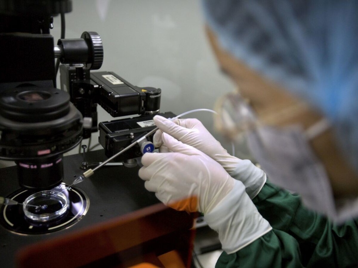Vedci upravovali DNA detí, Čína po kritike ich prácu stopla