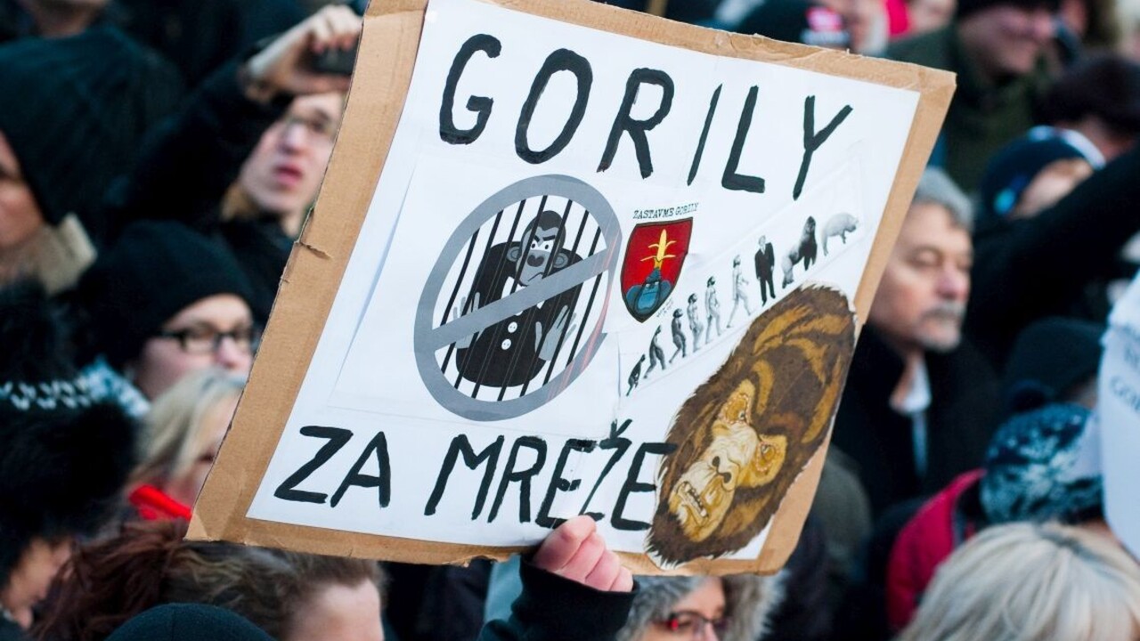 Smer ukázal na Dzurindovu vládu. Gorila je ich kauza, odkazuje