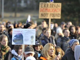 Gorila protest 1140 px (TASR/Pavel Neubauer)