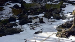 Na hladine potoka sa objavila biela pena, obyvatelia sa boja znečistenia