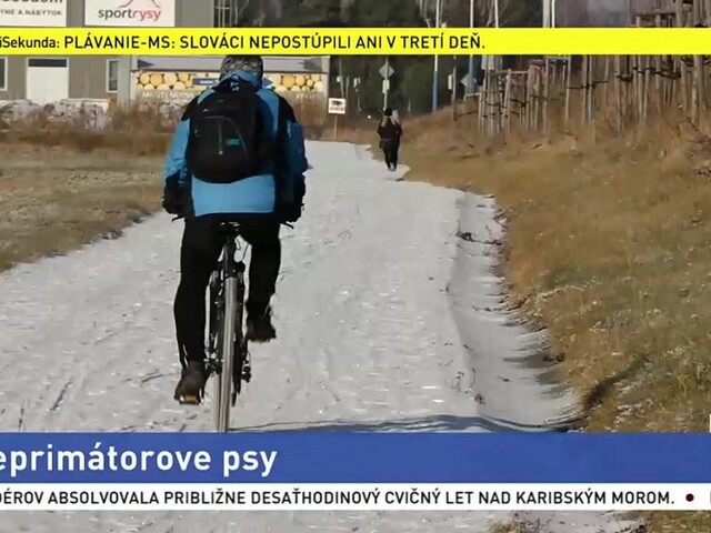 Viceprimátorove psy mali napadnúť srnu, zasahovať musela aj polícia