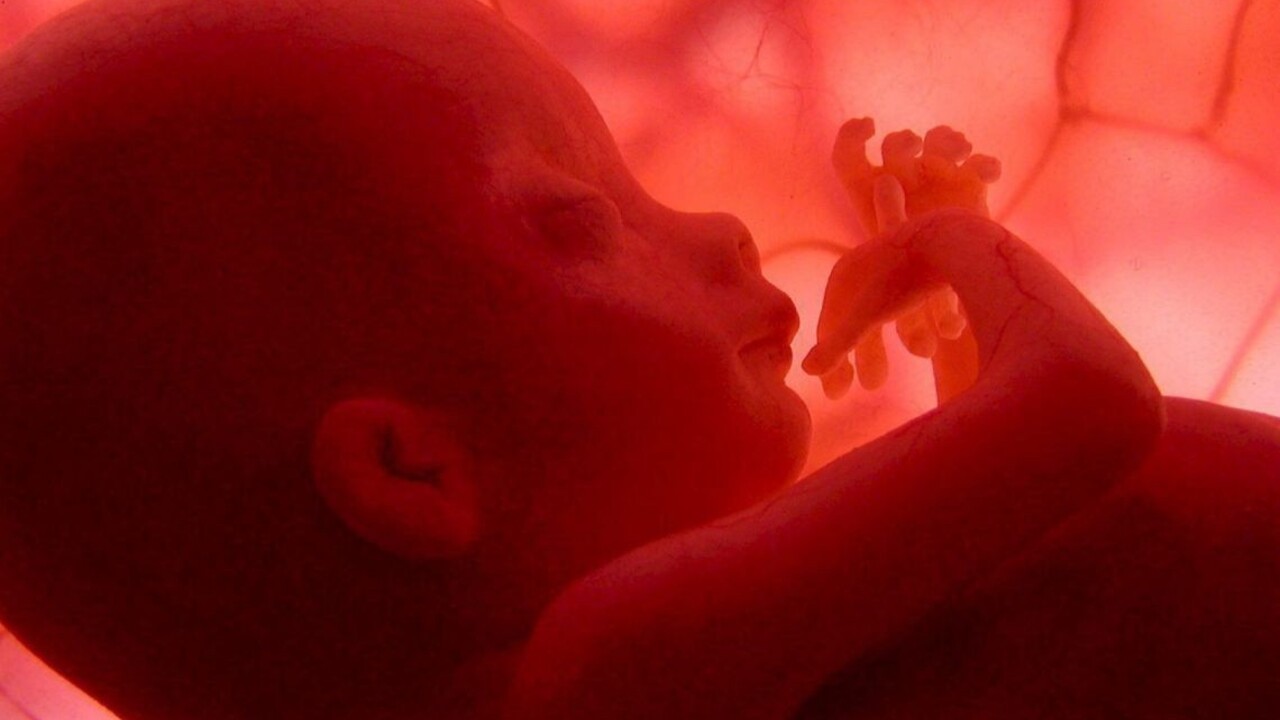 Klony opíc, továreň na kravy, upravené deti. Čína posúva hranice