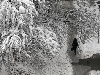 zima sneh ľad počasie 1140 px (SITA/AP)