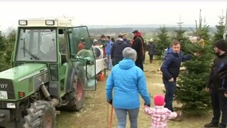 Vianočná nádielka pre seniorov / Kde rastú vianočné stromčeky