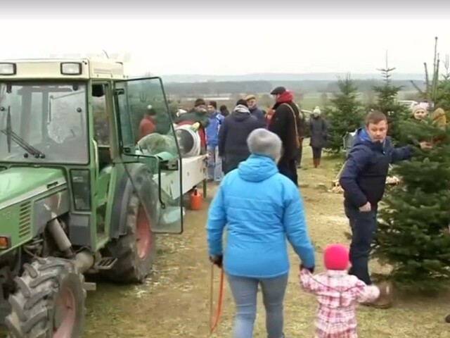 Vianočná nádielka pre seniorov / Kde rastú vianočné stromčeky