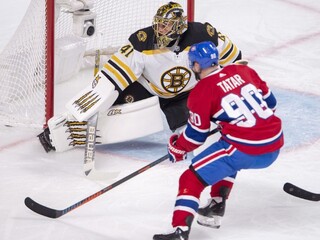 NHL: Halák priviedol medveďov k víťazstvu, Pánik skóroval