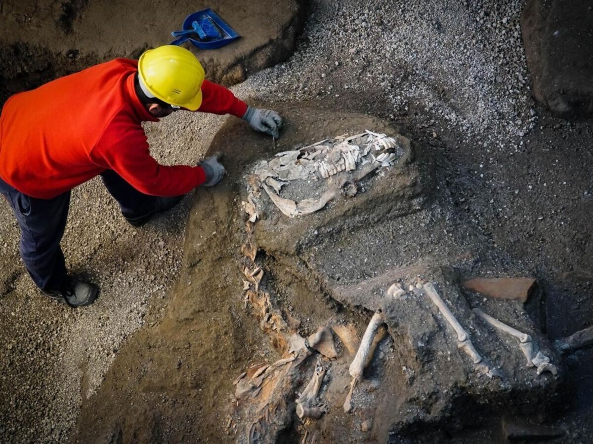 Vzácny objav z čias Pompejí: archeológovia odkryli pozostatky kostí