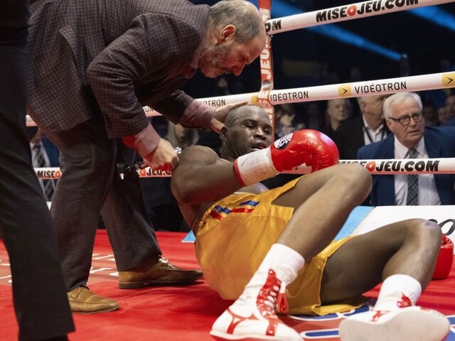 Boxera prebrali z umelého spánku, lieči sa v blízkosti rodiny