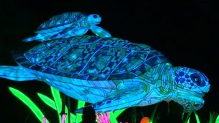 Bar, ktorý neexistuje / Dinosaury a pandy v centre Paríža