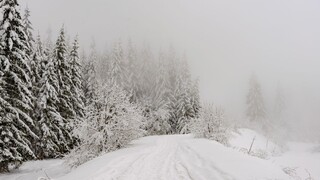 Niekde napadlo aj vyše 80 centimetrov, doprava mala problémy