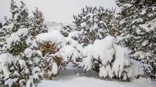 Chatárov na Kysuciach uväznil sneh, v obci je mimoriadna situácia