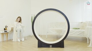 Inteligentné koleso na behanie pomôže mačkám udržiavať si váhu