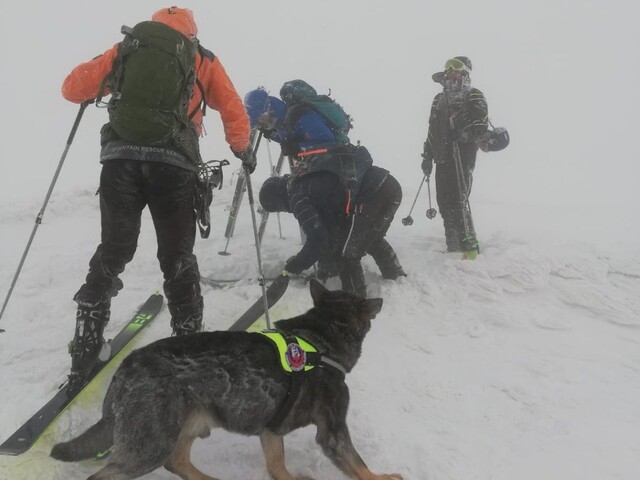 Lavína v horách zasypala skialpinistu, našli ho príliš neskoro