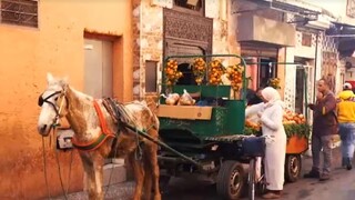 Kus čarovného Orientu / Život bez smetí