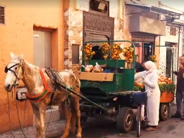 Kus čarovného Orientu / Život bez smetí