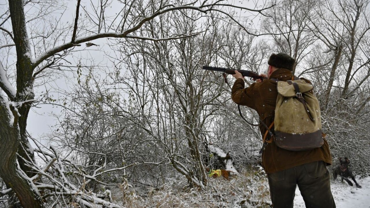Odsúdili poľovníka, ktorý zastrelil susedku. Pomýlil si ju s jeleňom