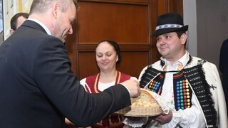 Vláda prijala akčný plán, počíta so stovkami pracovných miest