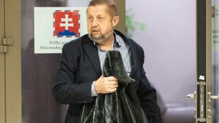 Chcem vyhrať, vyhlásil Harabin. Je oficiálnym kandidátom