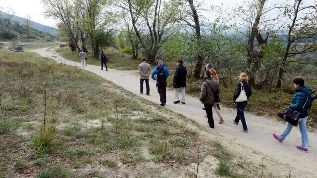 Z Devínskej Kobyly mizne les, vyrúbali aj storočné stromy