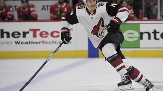 NHL: Útočník R. Pánik o víťazstve Arizony v Toronte