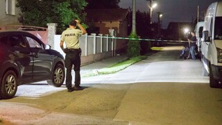 Kuciaka mali pár mesiacov pred vraždou lustrovať policajti