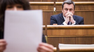 SaS hovorí po Dankových slovách o cigánočke o trestnom čine