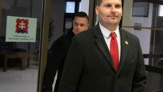 Máme na viac, povedal Švec po odovzdaní hárkov s podpismi