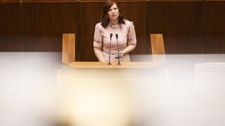 Novela má viaceré nedostatky. OĽaNO ju podporí len so zmenami