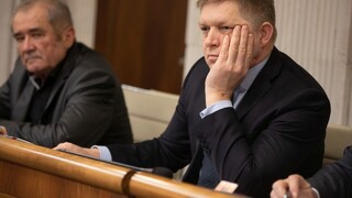 Fico poslal ďalšie dokumenty o praxi, mal učiť na univerzitách