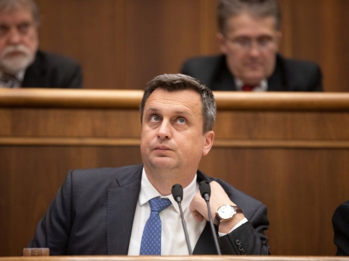 Dôchodca uviedol poslancov do omylu, jeho kandidatúru odmietli