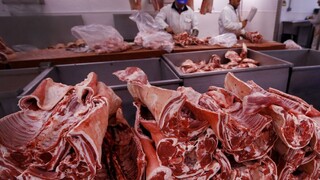 Matečná si pre škandál s mäsom predvolala poľského veľvyslanca