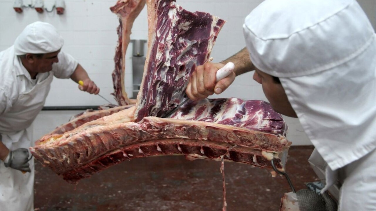 Ako vznikala reportáž o poľskom bitúnku? Príprava trvala mesiace