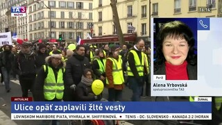 A. Vrbovská o protestoch žltých viest