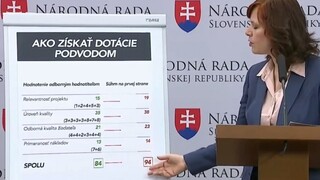 Niekto zvyšoval počet bodov, tvrdí Remišová pri dotáciách