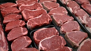 Pokazené mäso začali v Poľsku preverovať vyšetrovatelia EK