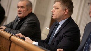 Fico dodal ďalšie doklady o praxi, mal učiť na dvoch univerzitách