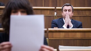 Rómske osobnosti kritizovali výrok o cigánočke Nicholsonovej