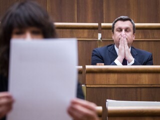 Rómske osobnosti kritizovali výrok o cigánočke Nicholsonovej