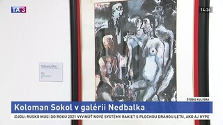 Vedľajšie účinky - inscenácia britskej dramatičky Lucy Prebble / Koloman Sokol v galérii Nedbalka / Pohľad na seba a do seba / Larva run v Ateliéri XIII. / Naše dejiny očami súčasných umelcov / Kniha