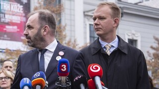 Spolu a Progresívne Slovensko idú do eurovolieb spoločne