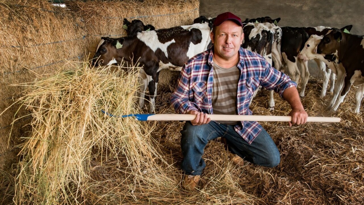 Slovenská farma je spojením kvality a domáceho pôvodu mäsa