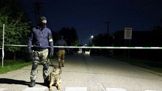 Bezprecedentné, hovorí Lipšic po odňatí jeho kauzy tímu Kuciak