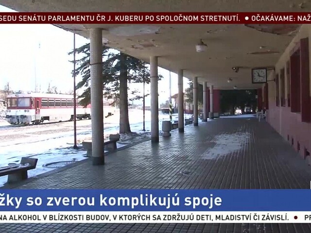 Neočakávaný problém železníc. Vlaky začali zrážať množstvo zveri