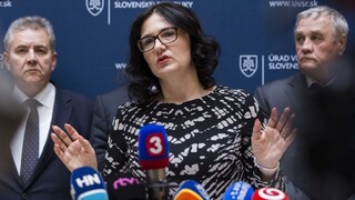 Stimuly získal i projekt, v ktorom figuroval Lubyovej otec, ministerka o tom nevedela