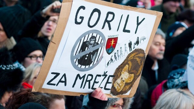 Šéf tímu Gorila hovoril o vyšetrovaní, pre Paroplyn padli obvinenia