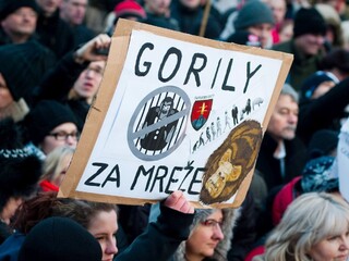 Šéf tímu Gorila hovoril o vyšetrovaní, pre Paroplyn padli obvinenia
