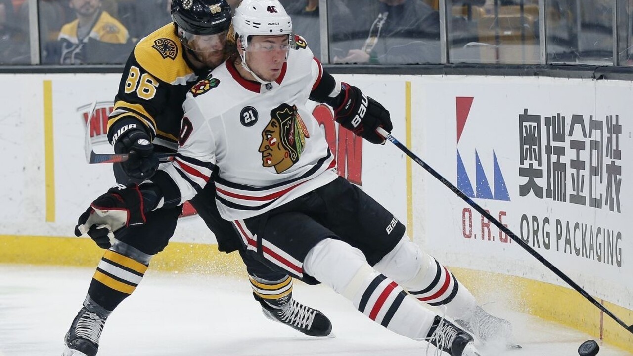 NHL: Cehlárik s Pánikom skórovali pri výhrach svojich tímov