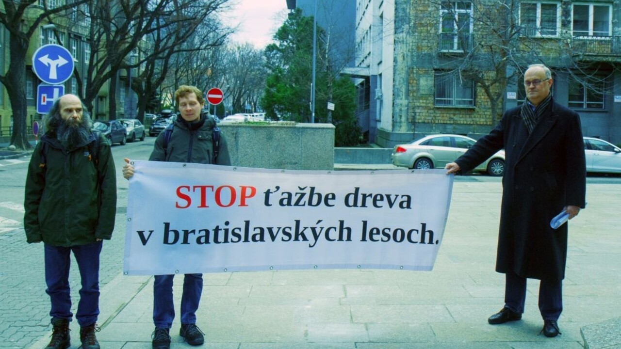 Hrajú mŕtveho chrobáka, tvrdí iniciatíva a žiada stop ťažbe dreva