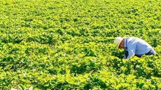 Farmári sa stretli s premiérom, hovorili o dlhodobých problémoch